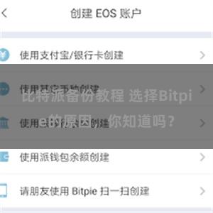 比特派备份教程 选择Bitpie的原因，你知道吗？