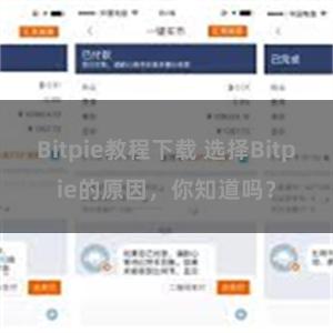 Bitpie教程下载 选择Bitpie的原因，你知道吗？