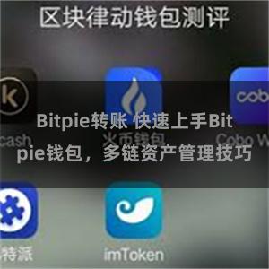 Bitpie转账 快速上手Bitpie钱包，多链资产管理技巧