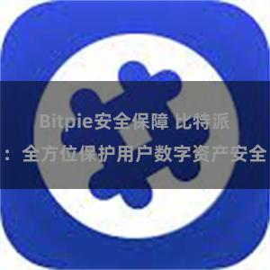 Bitpie安全保障 比特派：全方位保护用户数字资产安全