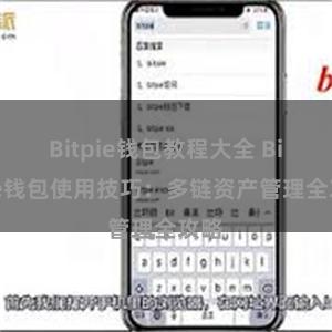 Bitpie钱包教程大全 Bitpie钱包使用技巧：多链资产管理全攻略