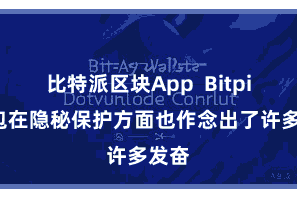 比特派区块App  Bitpie钱包在隐秘保护方面也作念出了许多发奋